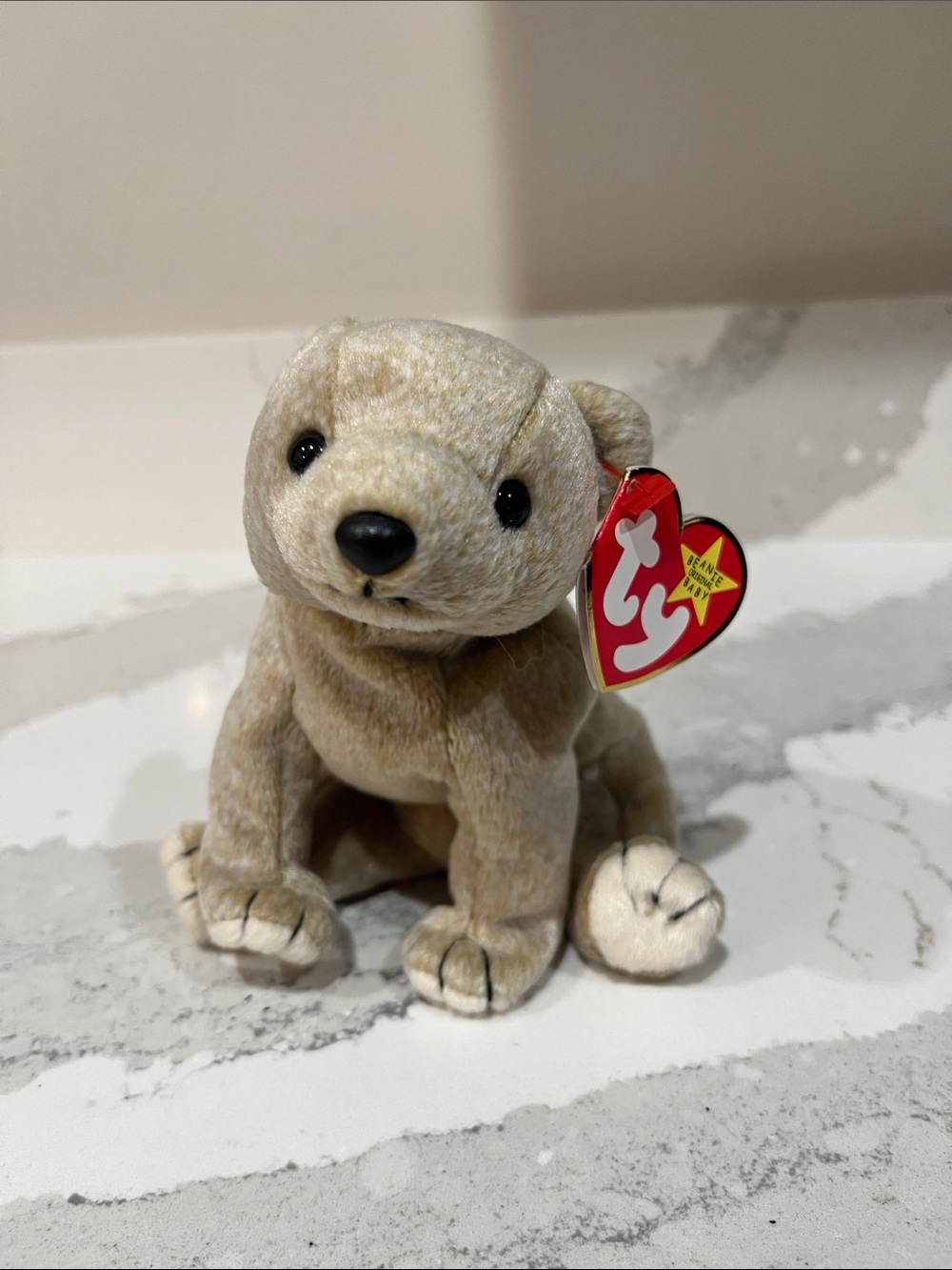 Ty Plush Puppy in Light Beige and Cream (Almond 1999)